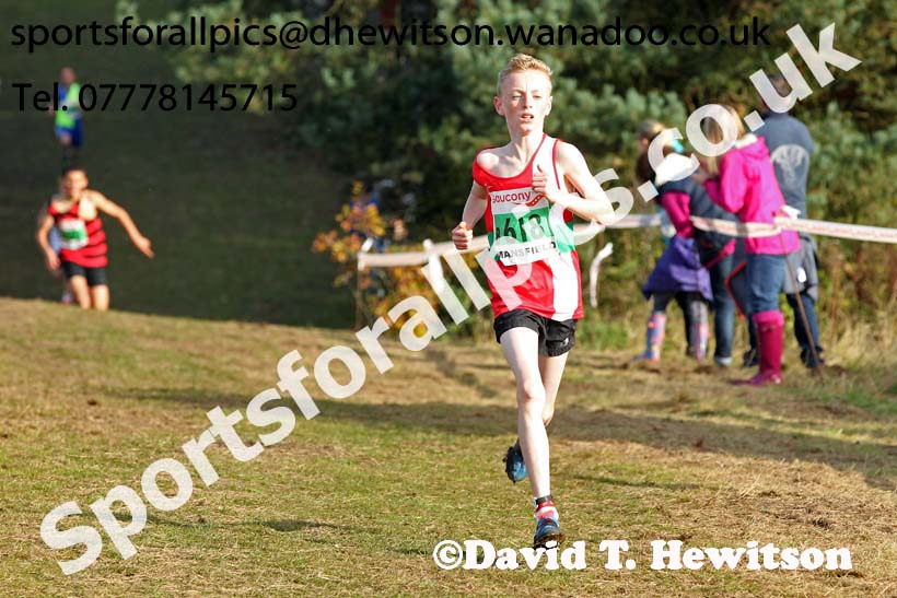 Boys under-13s, National Cross Country Relays, Berry Park, Mansfield. Photo: David T. Hewitson/Sports for All Pics